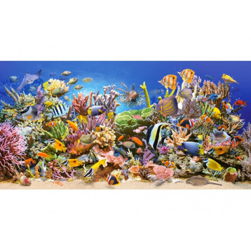 Puzzle 4000 Underwater life 400089